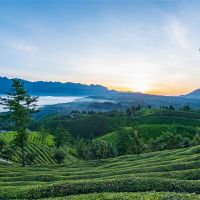 500萬(wàn)噸/年！湖北儲(chǔ)量約1.12億噸建筑用花崗巖礦擬掛牌出讓